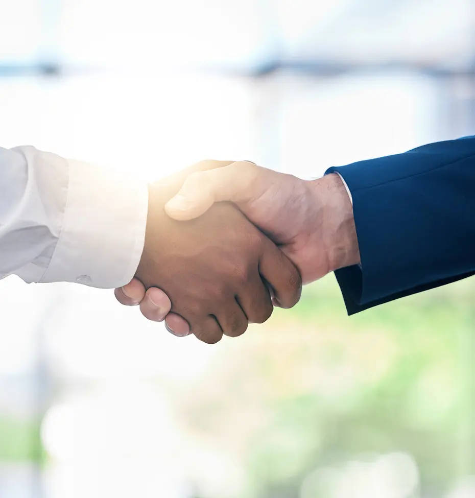 Professional handshake close-up